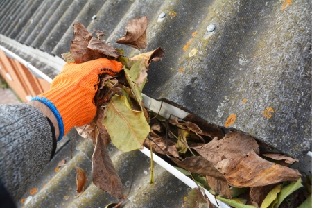 Denver gutter cleaning