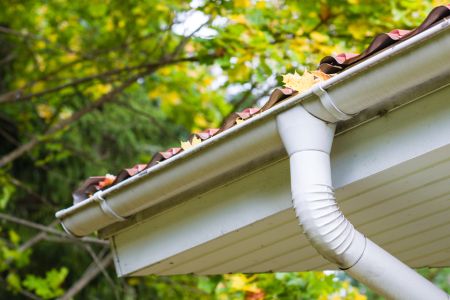 Fort mill gutter cleaning