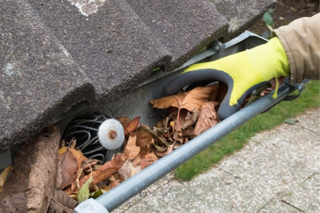 Tega cay gutter cleaning