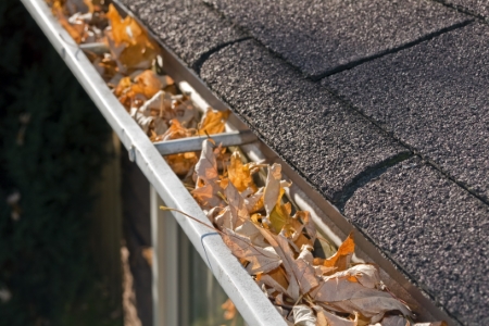 Indian trail gutter cleaning