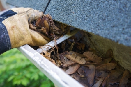 Kannapolis gutter cleaning