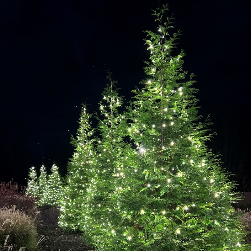 Commercial christmas light installation